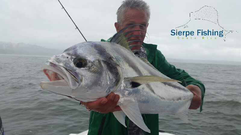 Sport fishing in Sierpe, Costa Rica