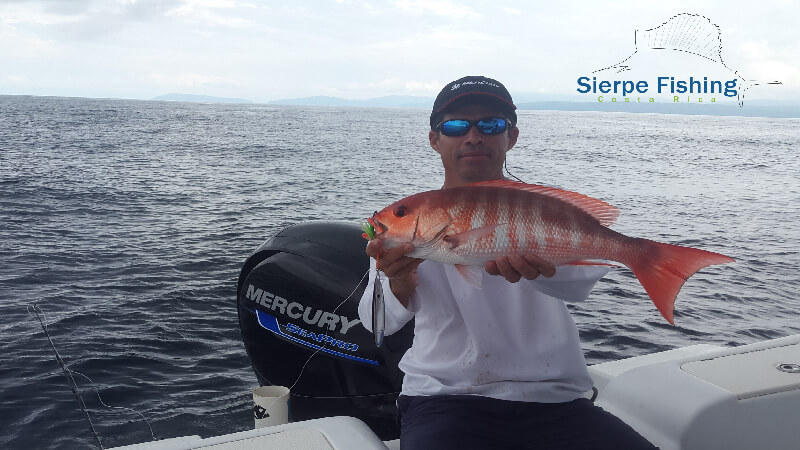 Sport fishing in Sierpe, Costa Rica