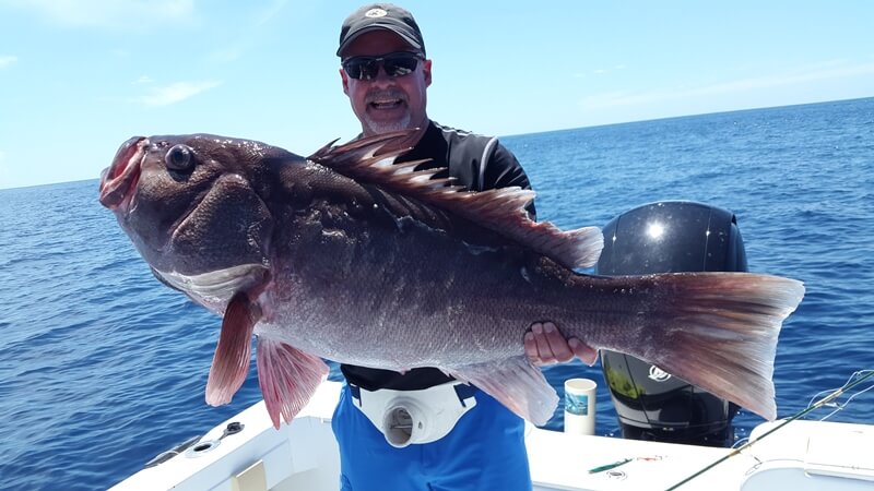Sport fishing in Sierpe, Costa Rica