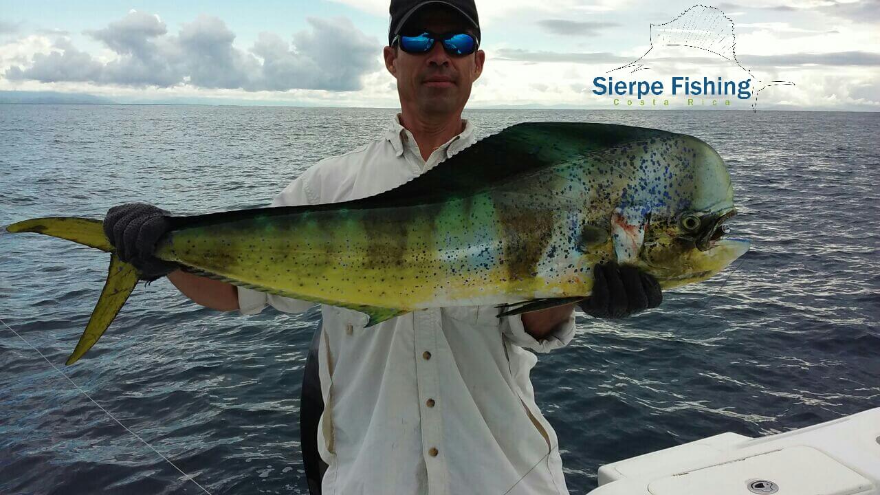 Sport fishing in Sierpe, Costa Rica