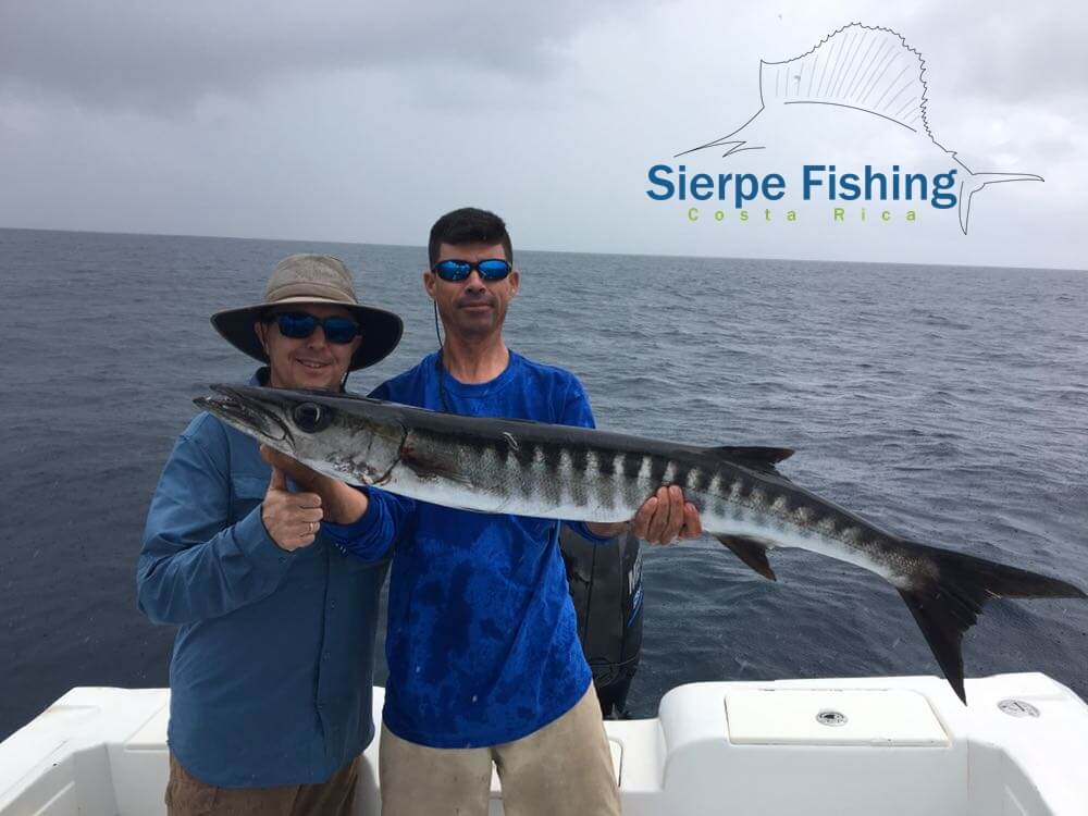 Sport fishing in Sierpe, Costa Rica