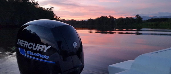 Sport fishing in Sierpe, Costa Rica