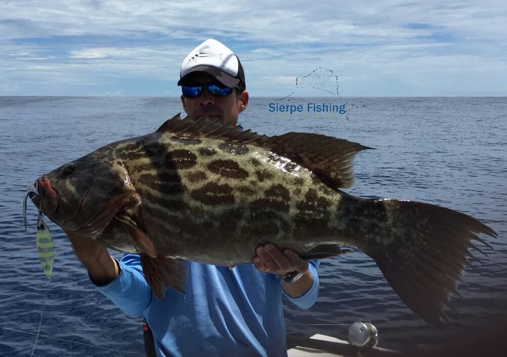 Sport fishing in Sierpe, Costa Rica