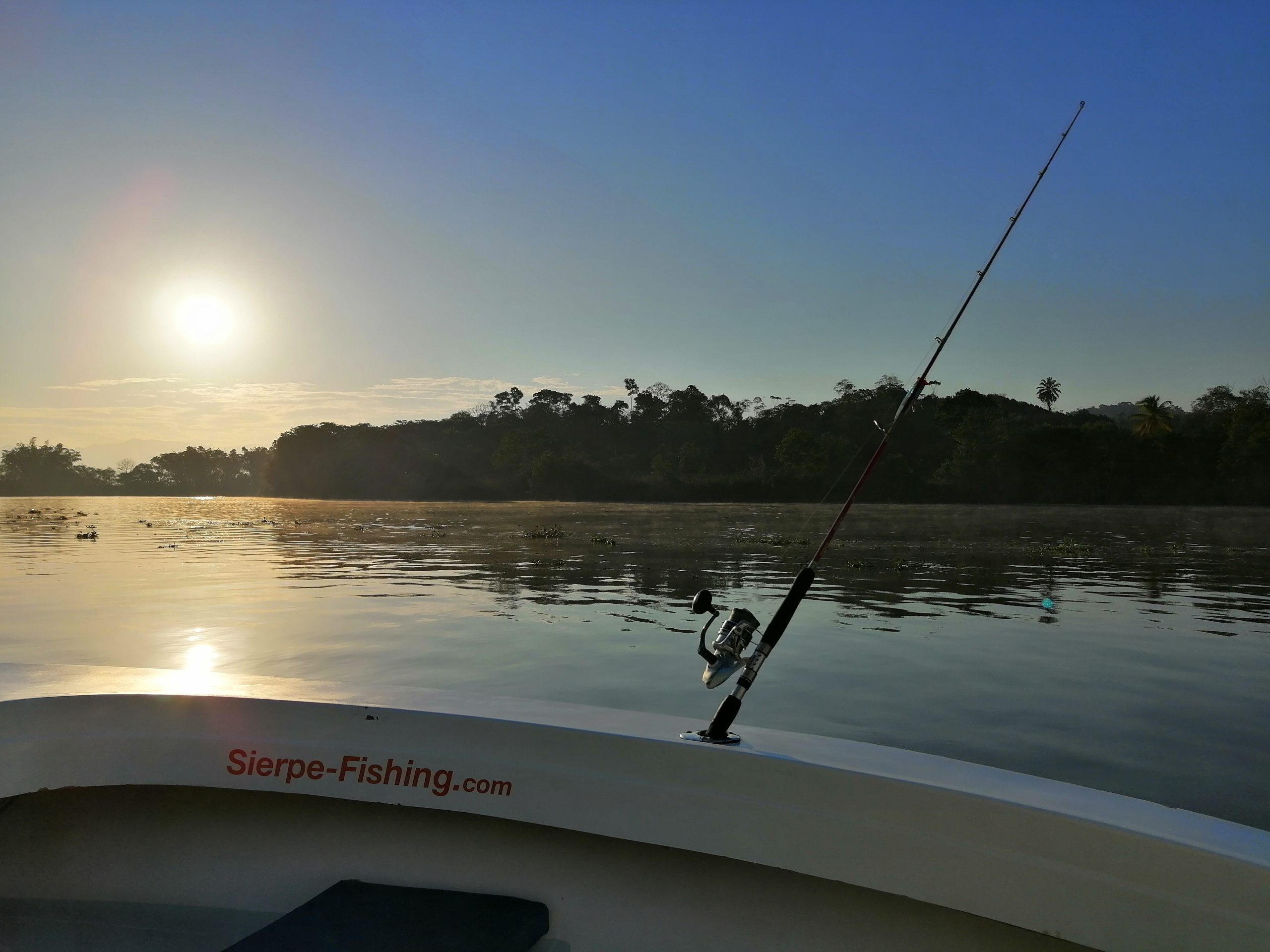 Sport fishing in Sierpe, Costa Rica