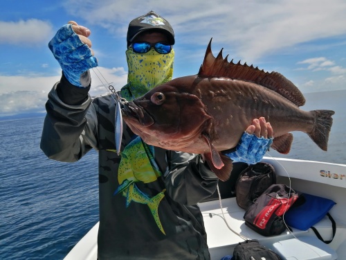 Sport fishing in Sierpe, Costa Rica