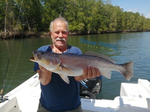 Sport fishing in Sierpe, Costa Rica