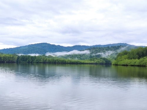 Sport fishing in Sierpe, Costa Rica