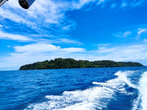 Sport fishing in Sierpe, Costa Rica