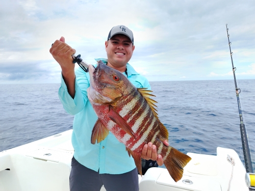 Sport fishing in Sierpe, Costa Rica