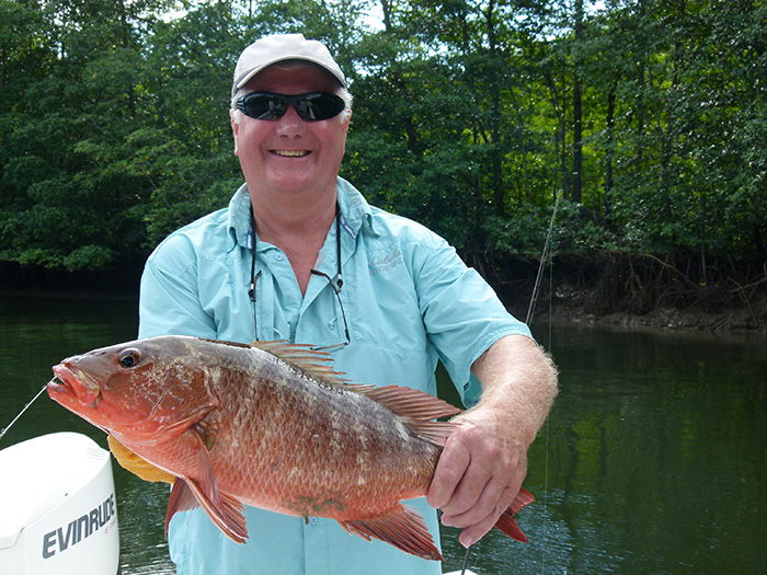 Fishing the Sierpe River through the mangroves, Costa Rica — photo 8