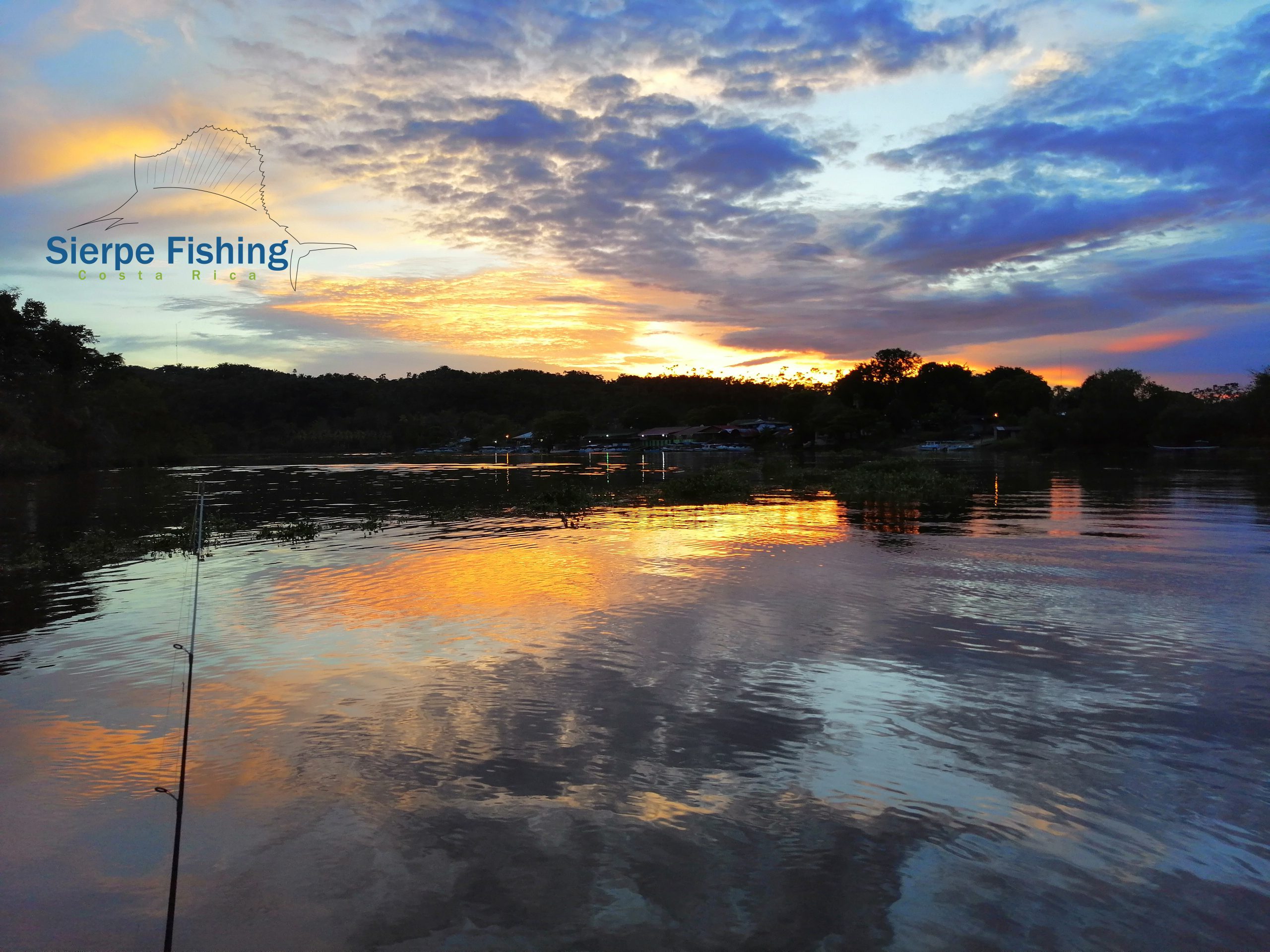 Fishing Report, June 2019