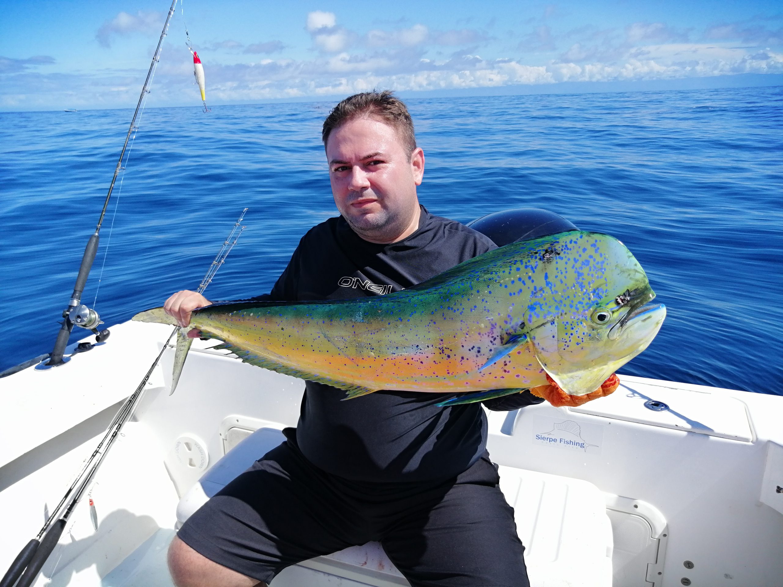Fishing Report, November 2019