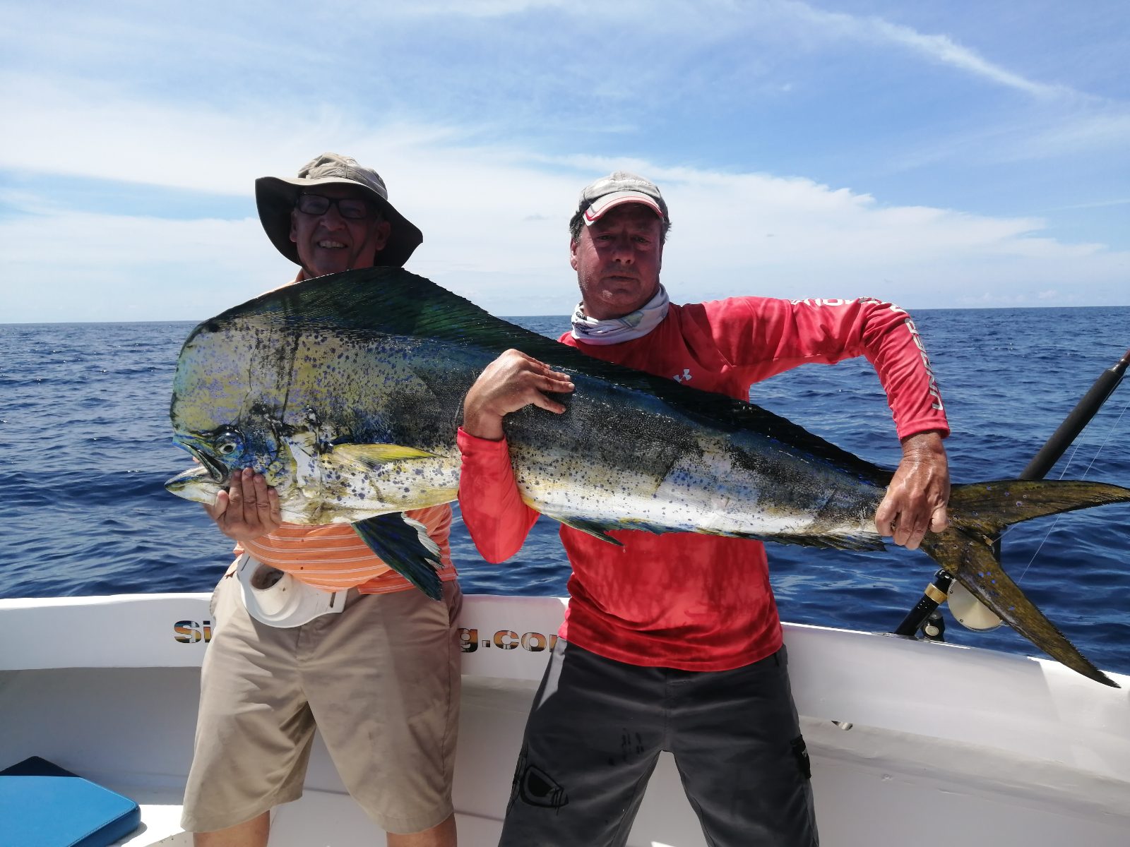 Blue water: sailfish and tuna