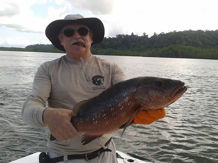 A morning on the Sierpe River